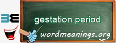 WordMeaning blackboard for gestation period